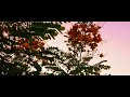Enkeyo Partha Mayakkam Yes Version