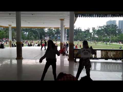 [Fretaste sub unit]Cl-Mtbd