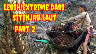 Download lagu ojek sawit//lebih extrime dari sitinjau laut part 2 mp3