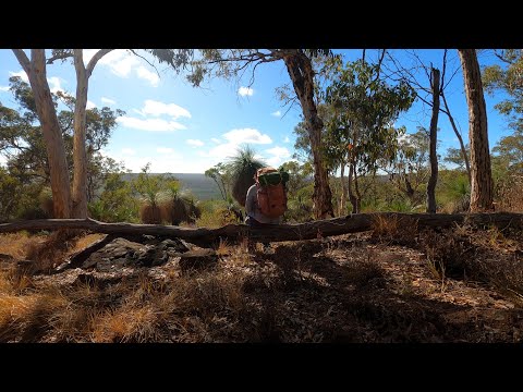 Bibbulmun Track Hike - Darling Range Part 1