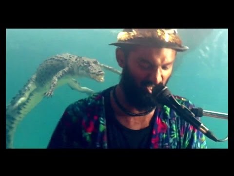 Croc Fever | Larry T Hill | Live clip | Croc Cove | Live Vocal Looping