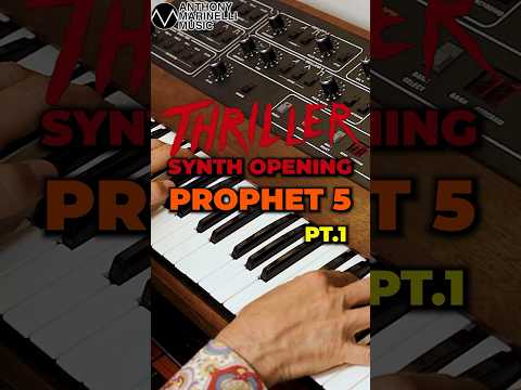 Sequential Prophet-10 Desktop 10-Voice Polyphonic Synthesizer 2021 - Present - Black with Wood Sides image 8