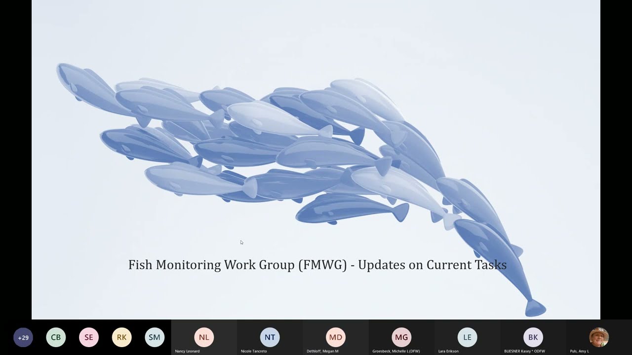 FMWG Meeting (October 20, 2022)