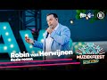 Robin van Herwijnen - Rode rozen • Muziekfeest op het Plein 2023 // Sterren NL