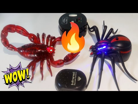 Unboxing Rc Ghost Spider vs Rc Scorpion |Testing video
