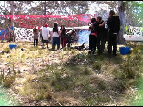 Psilocybe Vibe @ Too Cosmic (2)