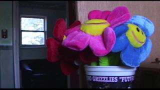 Together (“Parachutes (Funeral Song)” - Mates of State music video) (08/2004)