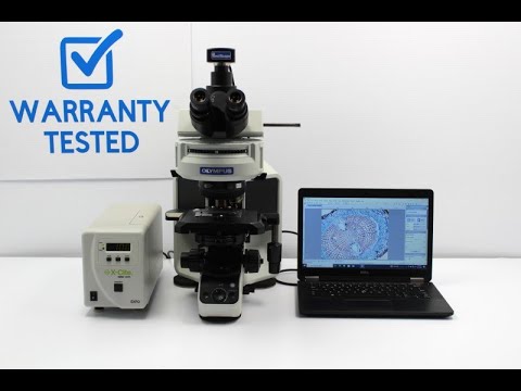 Olympus BX53 Upright Fluorescence Phase Contrast Microscope w