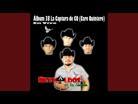 Me Dicen Niní (En Vivo)