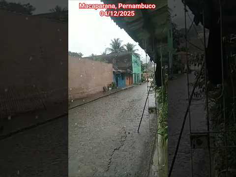🇧🇷 CHUVA EM MACAPARANA, PERNAMBUCO 04/12/2025