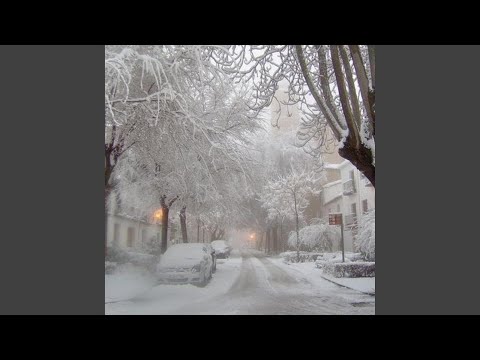 Billie Bossa Nova X West Coast