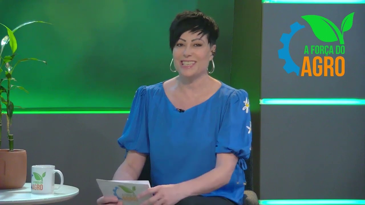 Como a genética melhora a qualidade do algodão