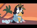 Eventyr Bluey På Dansk