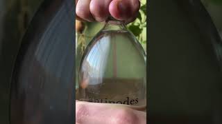 Download lagu Antipodes Water 🌊 mp3