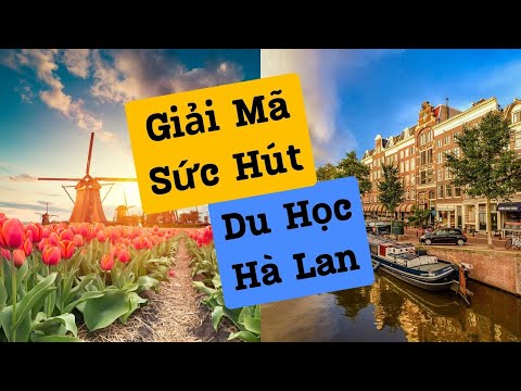 Giải Mã Sức Hút Của Du Học Hà Lan #duhocbluesea #duhochalan #duhocuytin
