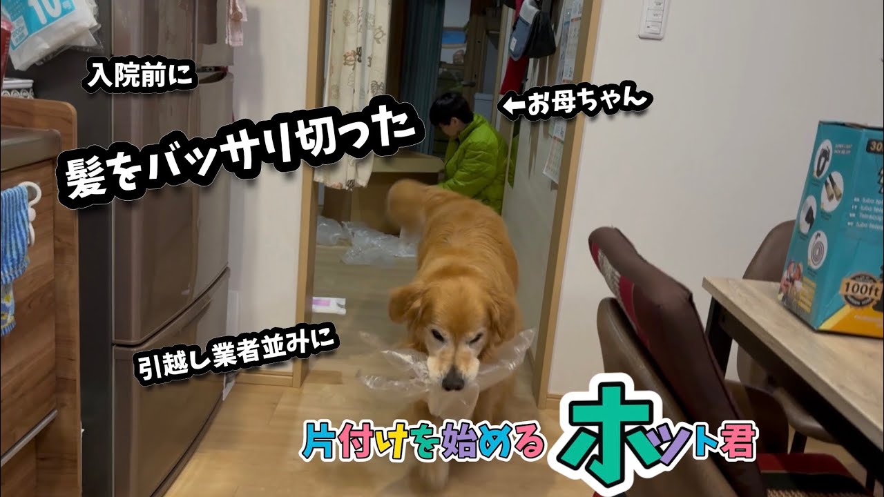 病気には負けない！髪をバッサリ切ったお母ちゃん。励ますホット君