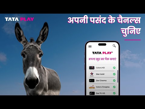 Tata Play brings on a donkey and an owl to show the way to smarter viewing