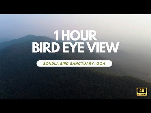 "Explore Bondla Bird Sanctuary in Goa with stunning 1-hour drone footage in 4K UHD."