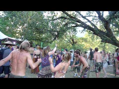 Blue Turtle Seduction at Earthdance 2009