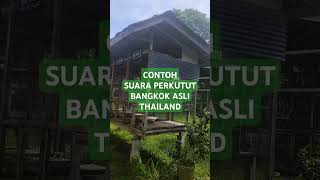 Download lagu Contoh suara perkutut Bangkok asli Thailand #sutajayabirdfarm #kungmania #perkututbangkok mp3