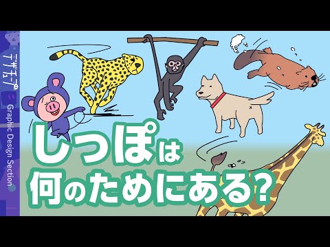 なぜ尻尾があるのか、それとも尻尾がないのか?