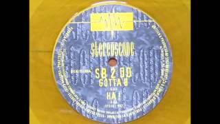 SB 2 DD - Domizil EP Side B