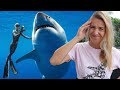 Should Ocean Ramsey have touched the Great White Shark?