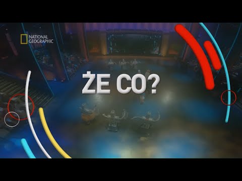 Zobacz dlaczego dzieci uczą się szybciej [Pułapki umysłu]