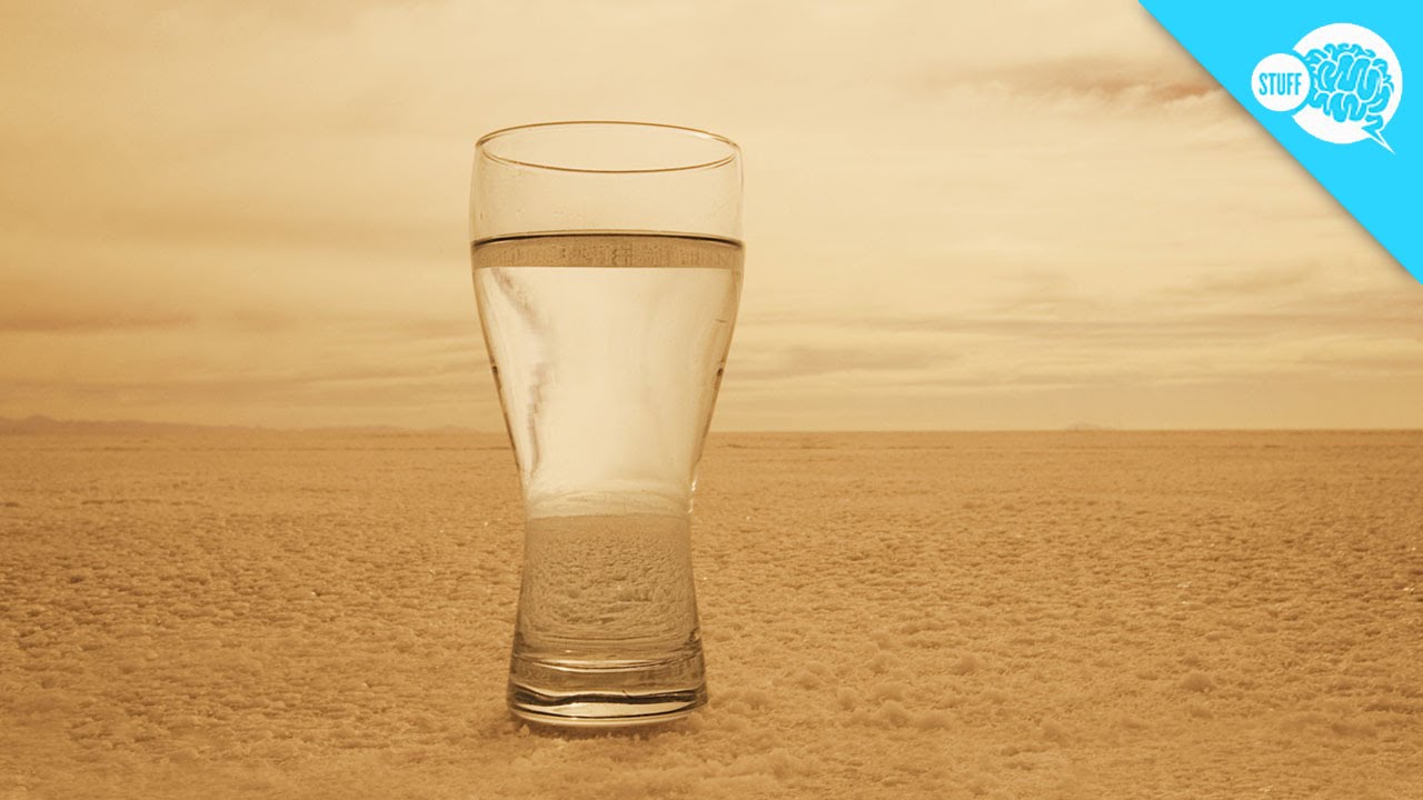 How Do You Find Water In The Wild?