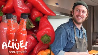 Brad Makes Fermented Hot Sauce | It&#39;s Alive | Bon Appétit