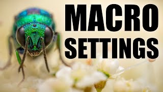 How to Master Settings in Macro Photography