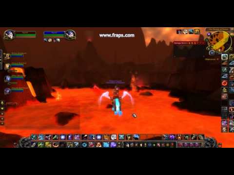 RARE Terrorpene Turtle