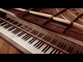 Fariborz Lachini...| Roya