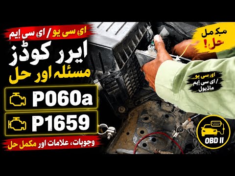 How To Fix P060a P1659 Error Code Honda