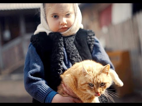 Maria Luiza Mih - Din ce ai, sa-ti faci Rai