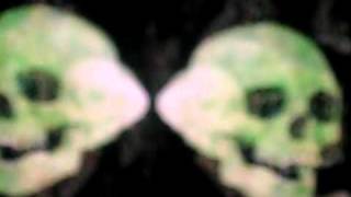Dan Deacon "Trippy Green Skull" Moog Fest 2010 Asheville, NC