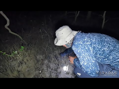 EP734-P1 - Naligaw sa Pandadakomo | Occ. Mindoro