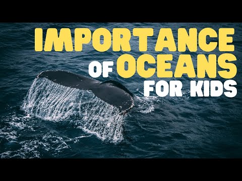 Importance of Oceans for Kids | Learn why Earth's oceans are so significant