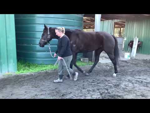 14/07/22 - Awesome Audrey