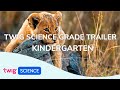 Grade Trailer: Kindergarten | Twig Science