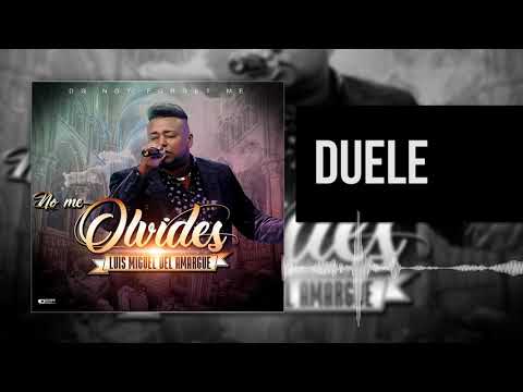 Duele | Luis Miguel del Amargue | Nuevo Álbum No Me Olvides |  Bachata 2018