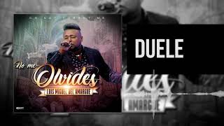 Como Duele Lyrics English Translation
