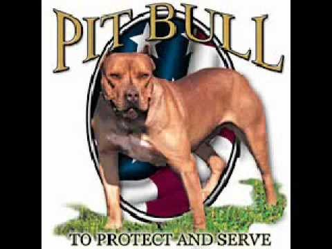 Гамена - Твоето Момче