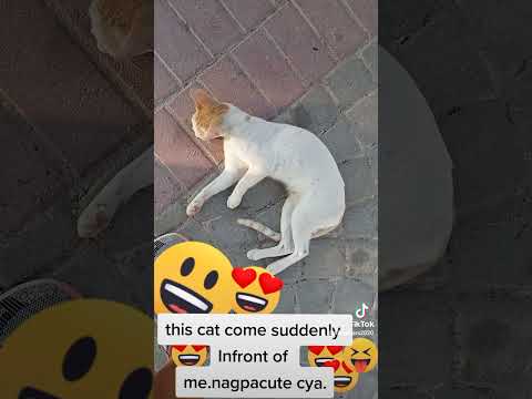 when someone come to flirt me..