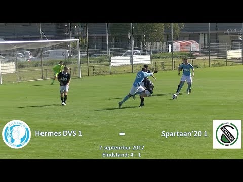 170902 Samenvatting Hermes DVS 1 -  Spartaan'20 1