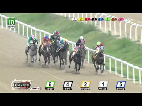 Busan Race 10 - July 5, 2013 - Darryll Holland