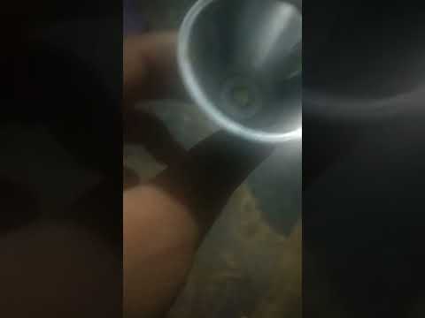 light current #fitness #halfhour #funniestjokes #funny #gaming  #cat