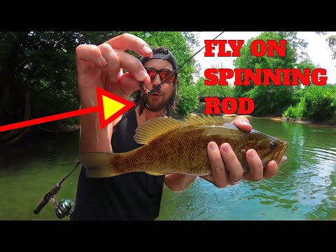 Fly Fishing With A Spinning Rod [KEY TIPS]: How To Fly Fish With Spinning Rod & Reel | SFSC