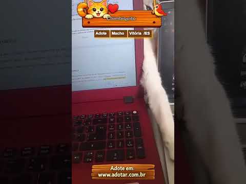 Vídeo de Chimbiquito