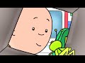 Caillou 501 Caillou S Cricket Dog Dilemma The Spider Issue